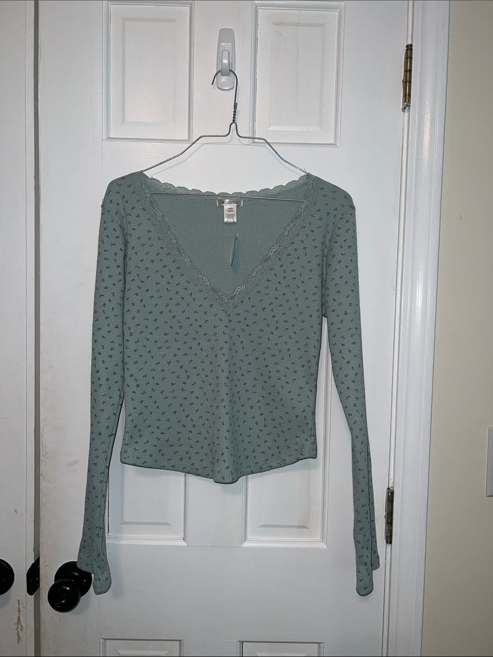 Light Sage Long-Sleeve V-Neck Women's Crop Top with Lace Trim